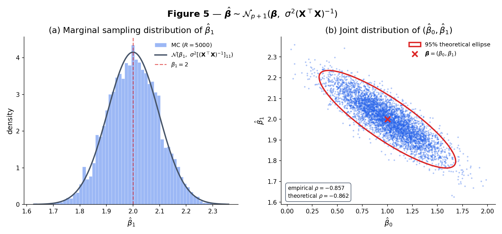 Two-panel. Left: MC histogram of β̂_1 from 5000 simulations at n=50, p=1, β_1=2, σ=1, overlaid with the theoretical Normal density — a tight match. Right: joint scatter of (β̂_0, β̂_1) across simulations with a 95% elliptical confidence contour showing the (XᵀX)⁻¹ correlation structure.