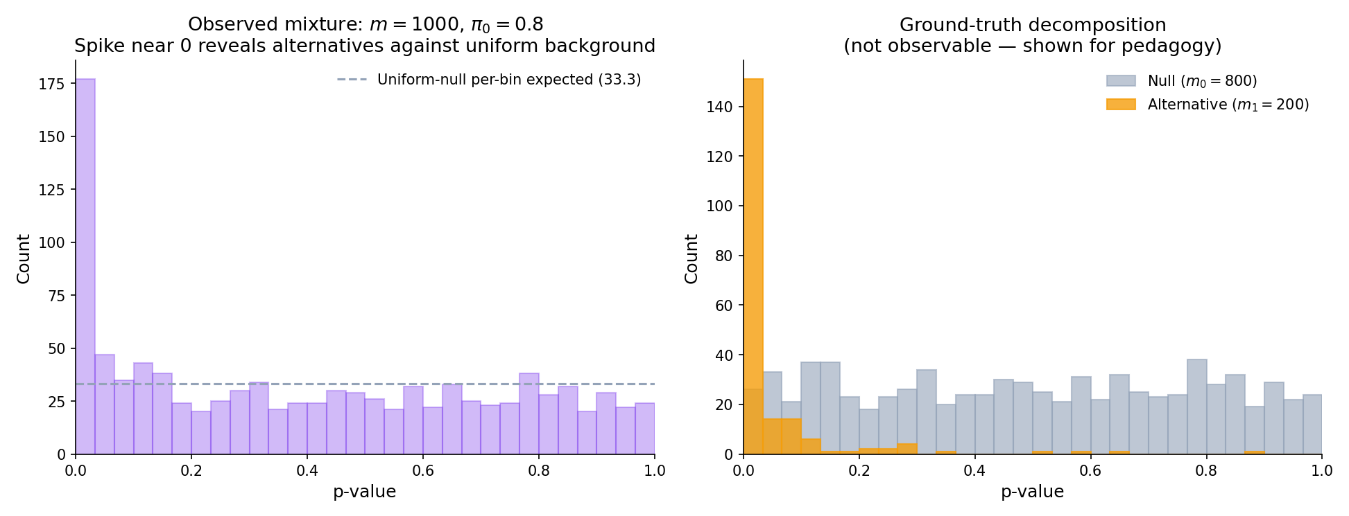 Mixture of p-values under a typical multiple-testing scenario: m = 1000, \\pi_0 = 0.8, moderate signal. The observed mixture (left panel) looks like a uniform-plus-concentration-near-zero; the ground-truth decomposition (right panel) shows the Uniform(0, 1) distribution of the 800 null p-values plus the near-zero concentration of the 200 alternative p-values.