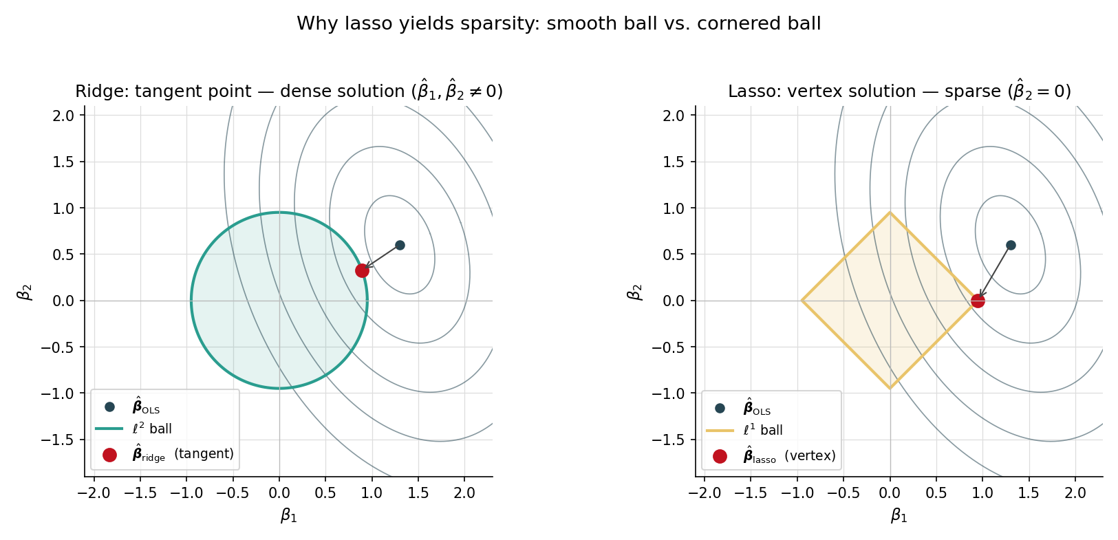 Side-by-side level-set diagrams in 2D coefficient space. Left: OLS contour ellipses tangent to a circle (ridge constraint) — tangent point is interior to the L² ball, both coefficients nonzero, smooth shrinkage. Right: same ellipses tangent to a diamond (lasso constraint) — tangent point lands on a vertex of the diamond, one coefficient exactly zero. The geometric origin of sparsity.