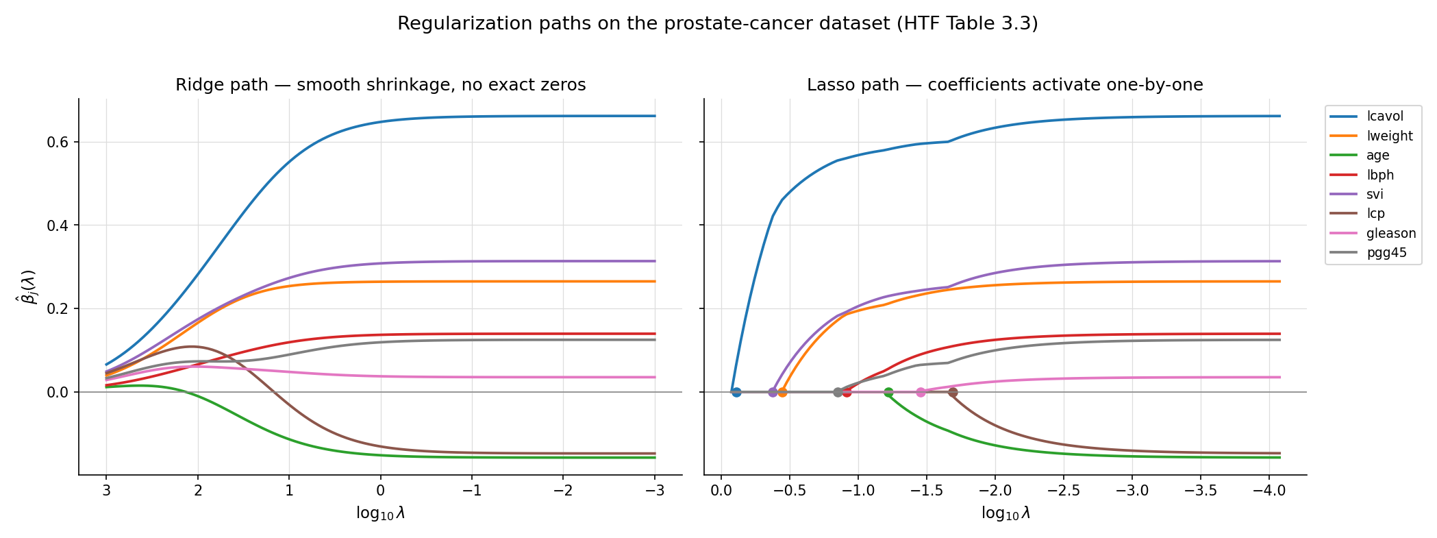 Featured regularization-path figure. Two panels side-by-side: ridge coefficient trajectories β̂_j(λ) and lasso trajectories on the prostate-cancer dataset, with x-axis log(λ). Ridge paths shrink smoothly to zero as λ → ∞; lasso paths show piecewise-linear behavior with each coefficient hitting zero at its own entry-λ. Eight color-coded coefficient lines per panel, λ_min and λ_1SE markers from cross-validation.